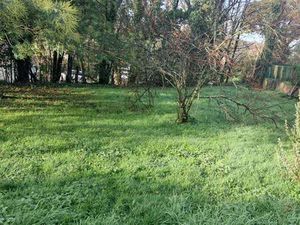 Vente Terrain à Auray (56400) : à vendre / Auray