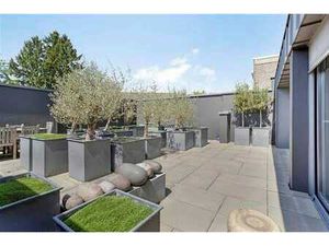 magnifique appartement en duplex (196 m²) avec terrasse de