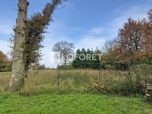 TERRAIN A BATIR CARENTOIR 990m² en impasse