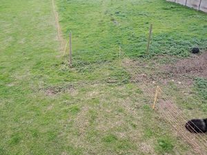 Terrain centre ville Pléneuf Val André