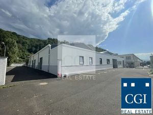 LOCAL D'ACTIVITE A VENDRE