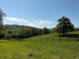 Vente terrain 1505 m² Molles (03300)