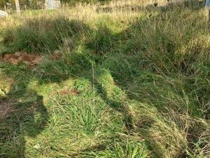 Terrain 469 m² Beaussais Sur Mer