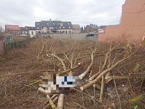 Grond te koop in Nerem