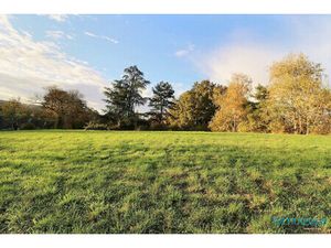 Propriété de 5 hectares. Maison 12 pièces.