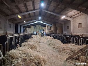 Ferme 33ha maison + stabulation + 2 séchoirs