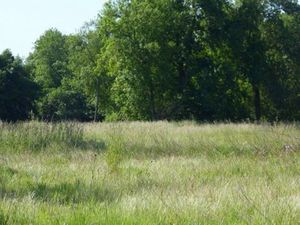 Recherche terrain agricole a louer ou a vendre