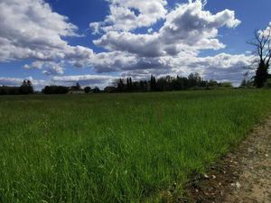 Terrain à bâtir à Grignols (33690)