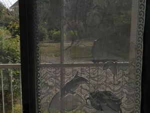 Location appartement 1 pièce 31 m² à Roscoff (29680)