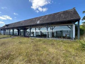 Local commercial à louer