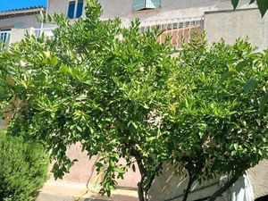 Particulier Maison 5 pièces de 101 m²  avec garage + aire de stationnement  Piscine