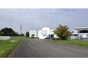 Local d'activités à louer