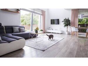 NOVEO IMMO STRASBOURG