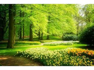 Terrain constructible viabilisé à vendre