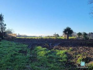 Terrain constructible viabilisé à vendre