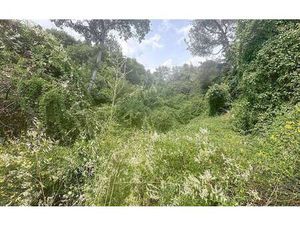 Villas La Provençale - Agence d Avignon