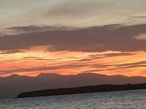 Magnifique T2 avec jardin