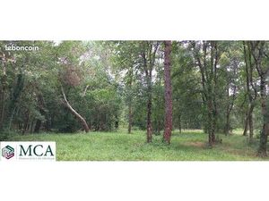 Terrain 1 484 m² Menesplet