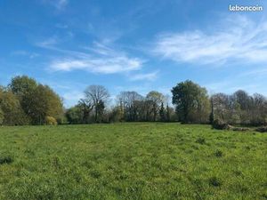 Terrain 1 500 m² Villemur Sur Tarn