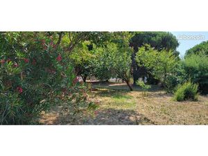 TERRAIN CONSTRUCTIBLE ARBORÉ - ÎLE D'OLÉRON - 815 m² - À 10 MIN À PIED DE LA PLAGE