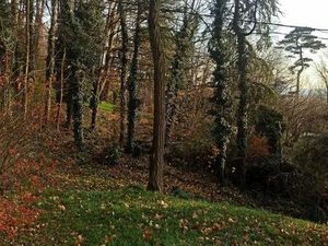 Appartement Lumineux 70 m2 Forêt