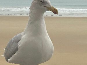 Recherche mon futur logement