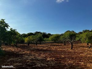 Projet sur terrain agricole bio Italie