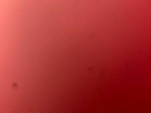 Cherche location sur Nancy & alentours