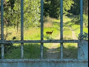 Terrain pour caravane  ou camping-car