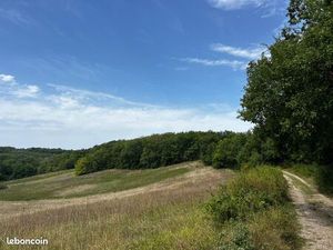 ? Terrain boisé 1 ha – Monclar-de-Quercy (82) – Prix fixe 10 000