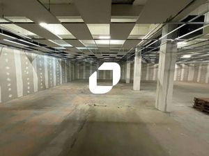 Location Local d'activités Lille 59000