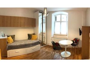 Location appartement 1 pièce 20 m² à Strasbourg (67000)