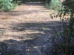 Terrain agricole ideal cheval culture ou loisir