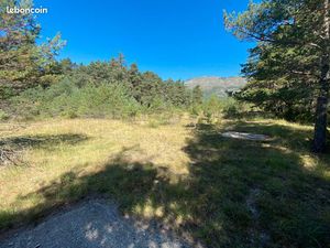 Terrain agricole 8000 m²