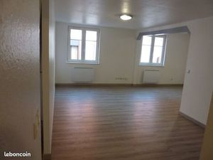 Appartement 3/4 pièces - Centre-ville Haguenau