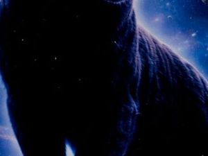 Recherche appartement T2 avec terrasse – Secteur Molsheim / Obernai