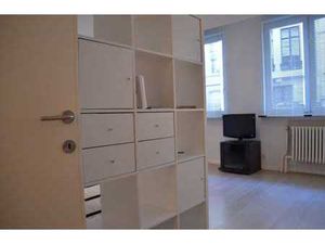 Proximité Châtelain / Louise lumineux flat meublé