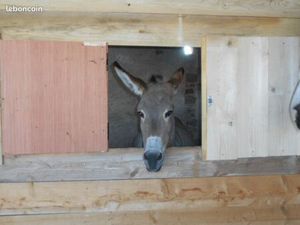 Maison de village avec un hectare et écurie