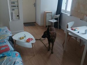 Appart T2 capucins 400