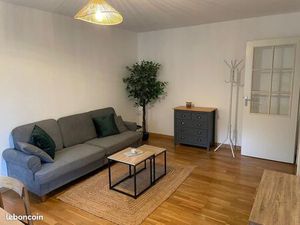 Beau T2 rénové- quartier des minimes- location meublé