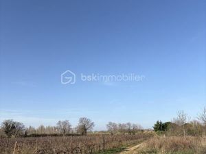 Terrain agricole 30 676 m² Villelongue De La Salanque