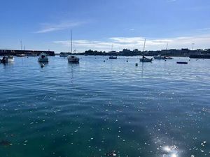 TERRAIN CONSTRUCTIBLE VIABILISE