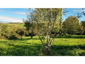 Terrain constructible