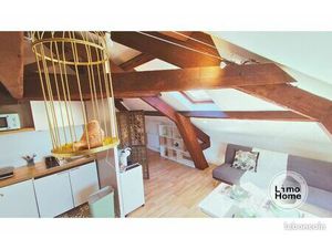 Loft cosy 35 m2 entièrement meublé centre-ville