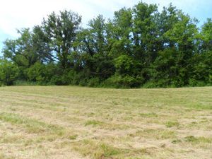 en vente Terrain constructible 25 ares – 36 000 € |Ribérac