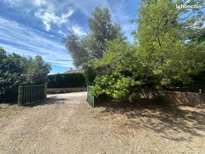 Appartement 3 pièces 81 m²