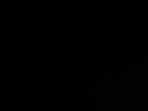 Rechercher maison à louer