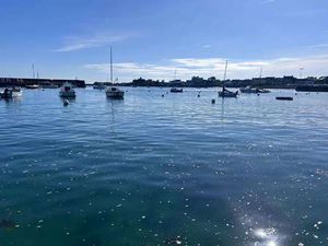 Vente Terrain Bord de Mer à Roscoff (29680) : à vendre Bord de Mer / 308m² Roscoff