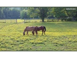 ◊ recherche terrain agricole – Dolus-d’Oléron