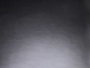 Recherche maison 2/3 chambres